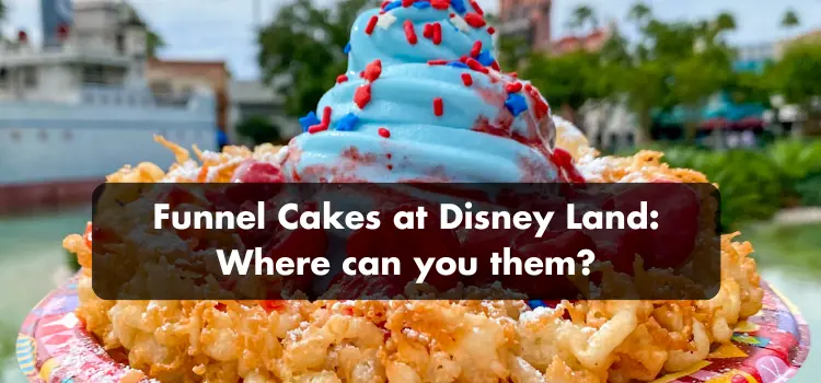 Funnel Cakes at Disney Land Where can you them