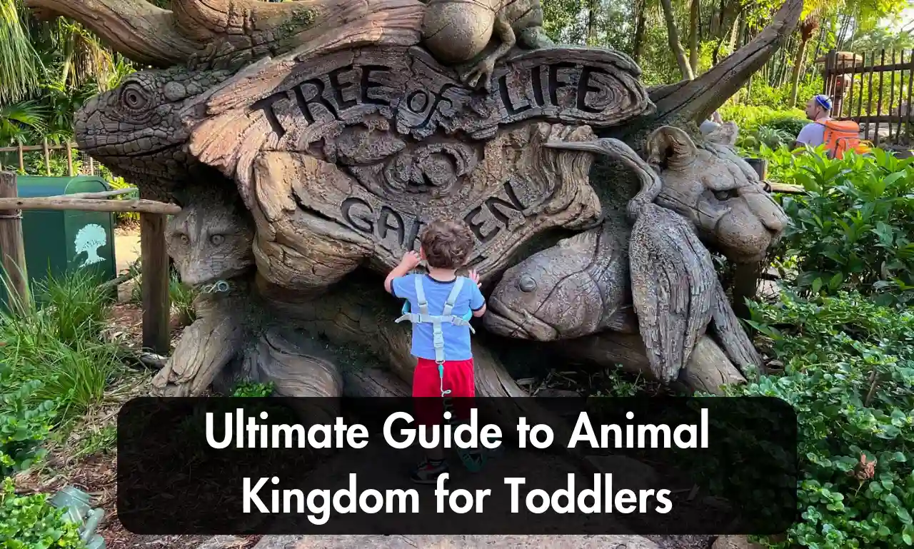Ultimate Guide to Animal Kingdom for Toddlers