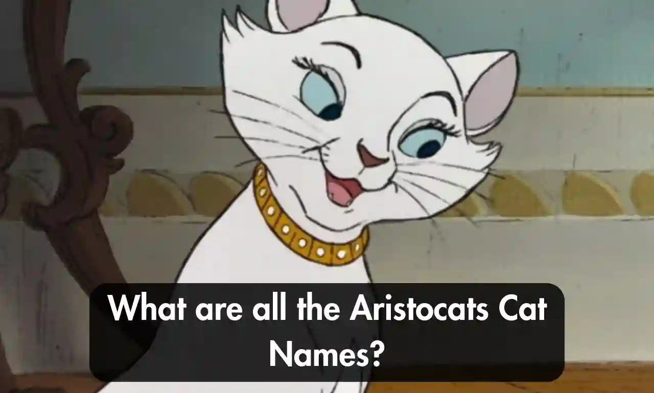 What are all the Aristocats Cat Names