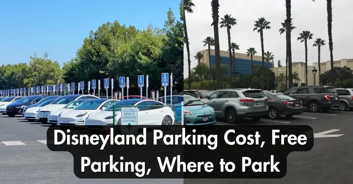 Disneyland Parking Cost, Free Parking, Where to Park