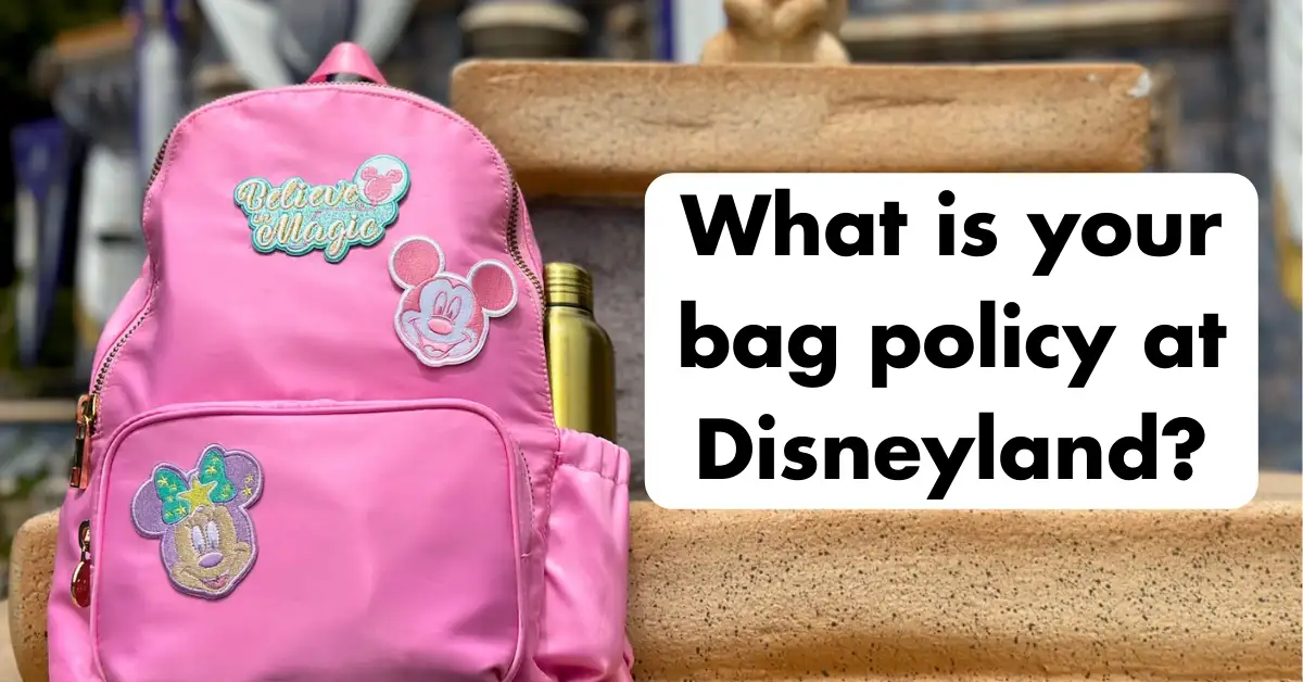 What is your bag policy at Disneyland